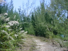 Enlarge photo 37