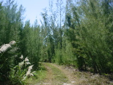 Enlarge photo 38