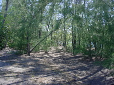Enlarge photo 39
