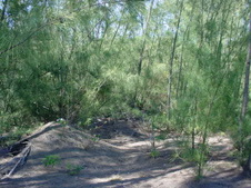 Enlarge photo 40