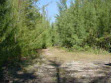 Enlarge photo 41