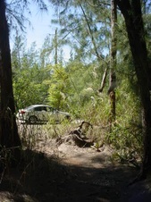 Enlarge photo 13