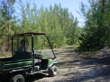 Enlarge photo 42