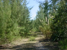 Enlarge photo 43