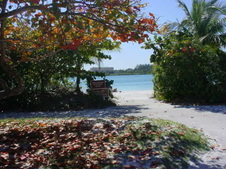 Enlarge photo 16