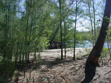 Enlarge photo 44