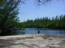Enlarge photo 45