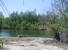 Enlarge photo 46