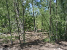 Enlarge photo 47
