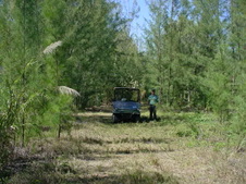 Enlarge photo 48