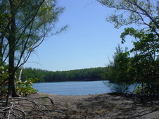 Enlarge photo 49