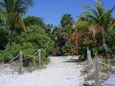 Enlarge photo 25