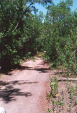 Enlarge photo 82