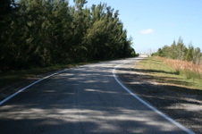 Enlarge photo 96