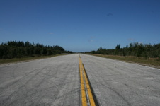 Enlarge photo 93