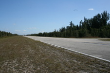 Enlarge photo 100