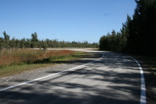 Enlarge photo 102