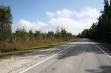 Enlarge photo 110