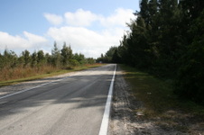 Enlarge photo 111