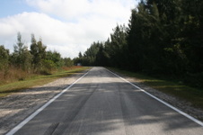 Enlarge photo 112