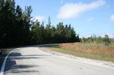 Enlarge photo 114