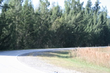 Enlarge photo 115