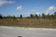 Enlarge photo 117