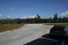 Enlarge photo 119