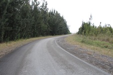 Enlarge photo 20