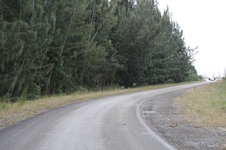 Enlarge photo 21