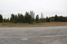 Enlarge photo 25