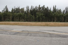 Enlarge photo 30