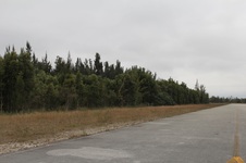 Enlarge photo 41