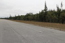 Enlarge photo 42