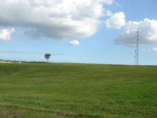 Enlarge photo 31