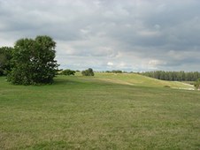 Enlarge photo 48