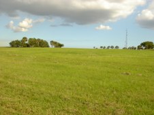 Enlarge photo 39