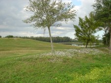 Enlarge photo 40