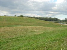 Enlarge photo 41