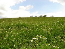 Enlarge photo 42