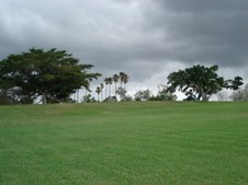 Enlarge photo 59