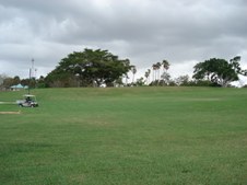 Enlarge photo 60