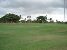 Enlarge photo 61