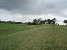 Enlarge photo 65