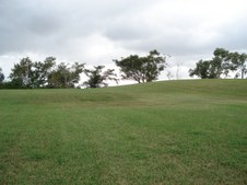 Enlarge photo 67