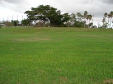 Enlarge photo 62