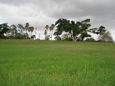 Enlarge photo 68