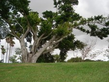 Enlarge photo 73