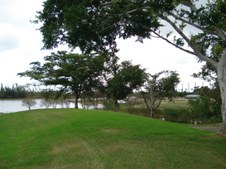 Enlarge photo 70