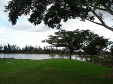 Enlarge photo 71